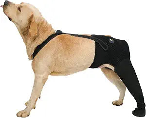 COODEO Dog Rear Leg Recovery Sleeve, Waterproof Hind Leg Sock for Dogs, Anti-Slip Paw Cover, Wear Resistant Protective Sleeve for Hot Spots, Sores & Outdoor Use (Black, M_Left Rear Leg)