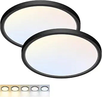 2Pack 12Inch LED Flush Mount Ceiling Light 5 Color Temperatures