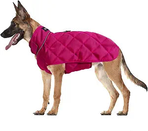 Weighted Dog Vest, Tactical Weight Coat with Beads for Dogs Anxiety- Relieve Stress, Build Muscle & Optimize Health, Premium Heavy Duty Dog Training Jacket for Exercise and Strength (Red, S)