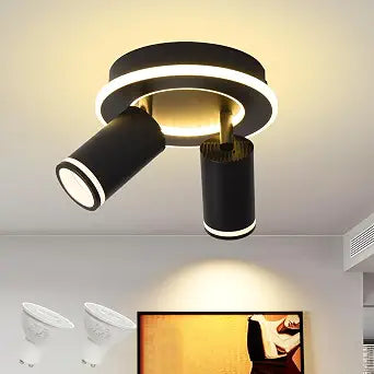 LED 2 Light Track Lighting Kit, Black Round Ceiling Spot Lighting Fixture