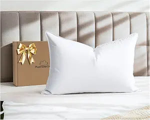 White Goose Down Pillow Luxury Hotel Bed Pillow with 100% 1000+ Fill Power, Goose Feather Pillow for Sleeping, 600TC Cotton Shell, Standard Size- Soft, 1 Pack