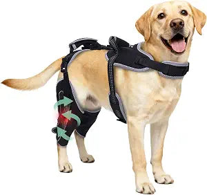 Dog Knee Brace for Torn ACL Hind Leg & Luxating Patella, Multi-Functional Adjustable Rear Leg Braces for Dogs, Pain Relief, Post-Surgery Recovery, L