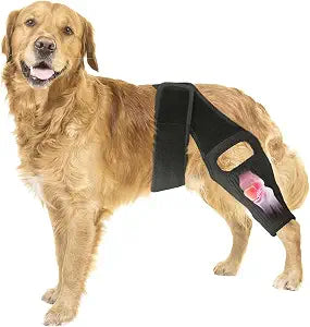 Knee Brace for Dogs for Torn ACL/CCL & Hind Leg Support, for Knee Cap Dislocation, Arthritis - Keeps The Joint Warm and Stable - Extra Support - Reduces Pain and Inflammation (M)