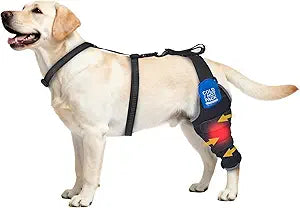 Aeegee Dog Rear Leg Knee Support, Hot/Cold Therapy Care, Effectively Relieves Pain from Arthritis, Hip Dysplasia, and ACL Injuries (Left, L)