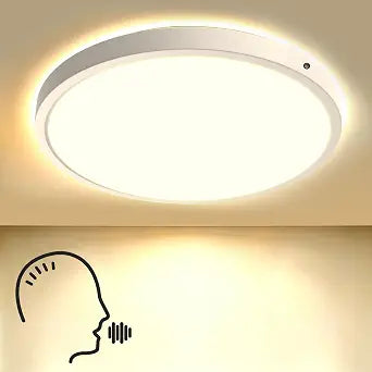 Voice Control Ceiling Light 12inch Flush Mount Smart Ceiling Light,3CCT,25W