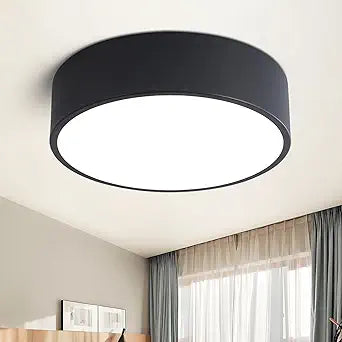 Dimmable Modern Flush Mount Ceiling Light Fixture,Matte Black Round LED Lights Fixtures,5CCT 2700K-6000K Lighting for Kitchen Hallway Bedroom Laundry Room Hall Entryway Closet Bathroom 11.8in