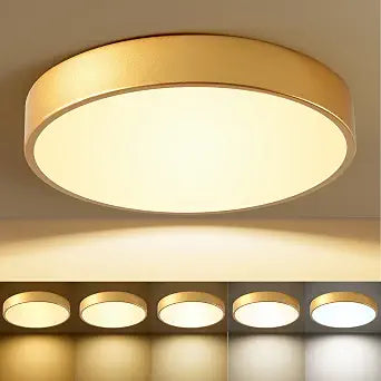 HLightnet Flush Mount Ceiling Light Gold LED Dimmable 5CCT 12 Inch 24W