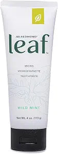 REDMOND Leaf Micro Hydroxyapatite Toothpaste Tube (Wild Mint)