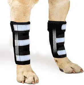 NeoAlly- Front Leg Brace for Dogs & Cats, Dog Leg Brace with Metal Spring Inserts, Dog Leg Sleeve for Carpal Support, Dog Leg Sleeve with Reflective Straps, L/XL, Pair