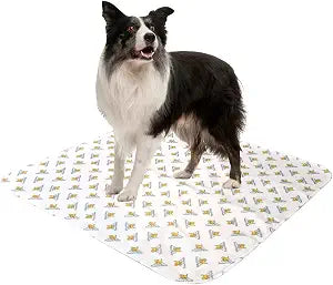 PoochPad Original Washable, Reusable Potty Pad (Large, Pack of 2) - Unmatched Odor Control, Leakproof Puppy Training Pee Pad