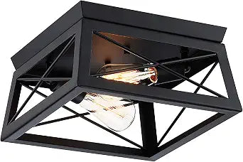 2-Light Black Square Ceiling Light Fixture - 2 Bulb Caged Farmhouse Ceiling Light for Bedroom Hallway Closet Kitchen Dinning Room 12 Inch, E26, Dimmable