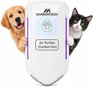 Air Ionizers for Home with Activated Carbon Odor Eliminator