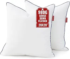 Down Pillow Inserts 20x20, Set of 2, 100% Goose Down Feather Throw Pillows Inserts, Triple-Layer Downproof, Decorative Pillow Insert with Soft Cotton Cover for Couch Sofa Bed Living Room