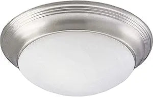 Progress Lighting 2-Light Alabaster Glass 14" Close-to-Ceiling, Indoor, P3689-09, Brushed Nickel