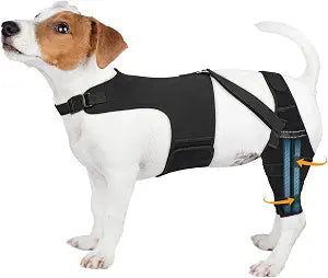 Dog Knee Brace for Torn Acl Hind Leg, Adjustable for Back Leg with 10 Stabilizers, Reduces Pain, Ligament Injuries & Luxating Patella for Small Medium Large Dogs