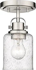 Z-Lite 340F1-BN Kinsley Flush Mount, 1-Light 60 Watts, Brushed Nickel