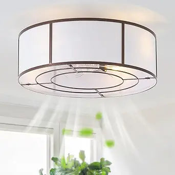 hummingbird 20inch Low Profile Caged Ceiling Fans with Lights, Flush Mount Ceiling Fan with Lights and Remote, Bladeless Modern Enclosed with 6 Speeds for Bedroom, Kitchen, Brown