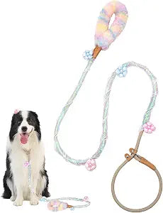 Cute Slip Leash with Padded Handle,  Girl Dog Accessories, Dog Mom Gifts for Women, Novelty Gifts for Women (Light Blue, 6ft & 5ft Options, Slip Lead) by Woof Woof Wow