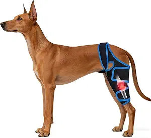 Dog Knee Brace for Torn ACL Hind Leg for Support Reflective Dog Joint Protection Arthritis Pain Relief Adjustable Recovery Brace for Dogs Front Back Leg Vet-Recommended