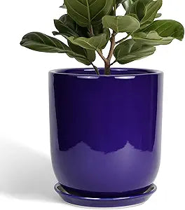 10 Inch Plant Pot - Ceramic Pot for Indoor Plants Large Planter Modern Outdoor Flower Pot with Drainage Hole and Saucer for Home Patio Decor Blue