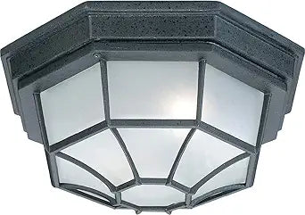 Capital Lighting 9800BK Urban/Industrial Frosted Glass Outdoor Flush Mount Ceiling Light, 2-Light 120 Total Watts, 6" H x 11" W, Black