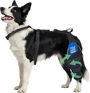 Dog Knee Braces for Back Leg, Dual-Use for Hot/Cold Compress Relieves Acute Joint Pain and ACL Injuries, Includes Removable Gel Ice Pack Suitable for Medium to Large Dogs, Left Leg M