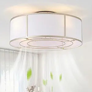 Caged Ceiling Fans with Lights Flush Mount, Low Profile Ceiling Fan with Lights Remote Control, 20'' Modern Bladeless 6 Speeds for Bedroom, Nursery, Kitchen, Gold