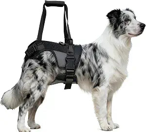 Dog Lift Harness for Large Dogs, Rear Leg Support Sling with Handle for Injury Recovery, Post-Surgery Rehab, Senior Dogs(L)