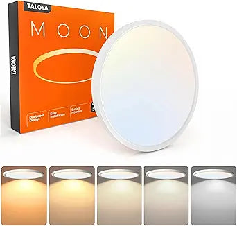 TALOYA 12 Inch Flush Mount Ceiling Light, 20W 5CCT Selectable,3000K-6500K