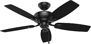 Hunter Fan Sea Wind Indoor / Outdoor Ceiling Fan with Pull Chain Control, 48", Black