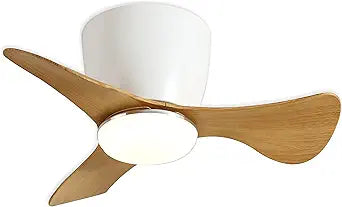 GESUM Flush Mount Ceiling Fans with Lights, 22'' Small Ceiling Fans Remote & APP Control, 3CCT Dimmable, Quiet DC Motor for Patio Kitchen Bedroom