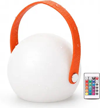 IP65 Waterproof Shower Lamp with 16 Colors, Remote and Hanging