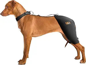 Dog Hip Brace with Hot/Cold Compress, Support for Hip Dysplasia, Arthritis, Back Leg limping, Prevents Hip Joint Issues, Reduce Hip Pain etc(Male Dog, XXL)