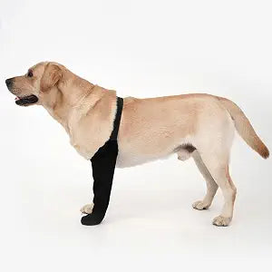 Dog Recovery Socks - Waterproof Paw Protectors with Non-Slip Sole | Post-Surgery Boots for Wound Protection | Anti-Licking Sleeves for Dogs (Black, 2XL_Right)