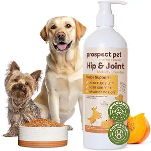 Hip and Joint Supplement for Dogs - Glucosamine with Plant-Based Chondroitin, MSM & Pumpkin - Advanced Joint Relief Dog Supplements for Large & Small Breeds - USA Made 16OZ