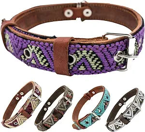Western Dog Collar  Leather Embroidered Design for Small Medium Large Dogs & Puppy Pets - Aztec & Southwest for Boy and Girl Female & Male Dogs - Collar para Perros Beaded (Large Amethyst)