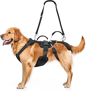 Dog Lift Harness, Full Body Support & Recovery Sling with Rear Leg Strap  Pee-Able Design for Large/Medium Dogs, Mobility Aid Harness for Senior, Injured, Disabled, Arthritic & Post-Surgery Pets (XXL