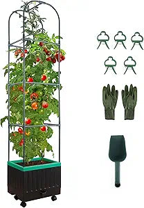 Yhtpouqe Raised Garden Bed with Self Watering Garden Pots, Planter Box with Trellis for Climbing Plants Vegetable Vine Flowers, Tomato Cage Planter for Indoor Outdoor Yard Greenhouse Use