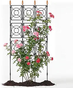 Trellis for Climbing Plants Outdoor, 24 Rifny Tall Garden Trellis Flower Rose Cucumber Trellis for Vines Pea Support, Wall Large Plant Trellis Fence with with Plastic Frame, 3 x 6.2 FT