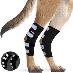 NeoAlly Pair Dog Rear Leg Brace Canine Rear Hock Joint Support with Safety Reflective Straps for Joint Injury and Sprain Protection, Wound Healing and Loss of Stability from Arthritis (XS Pair)