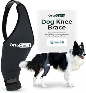 Ortocanis Dog Knee Brace for Hind Leg Support  Flexible Neoprene Knee Brace for Dogs with Joint Instability, Torn ACL, Limping or Osteoarthritis  Comfortable Support for Recovery (Large, Left Leg)