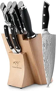 NANFANG BROTHERS 9 Pieces Damascus Kitchen Knife Sets with 67-Layer Japanese Damascus Steel, ABS Ergonomic Handle, Professional Ultra Sharp Knife Sets for Chefs with Beechwood Block