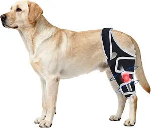 Dog Knee Brace for Torn Acl Hind Leg, Relieves Ligament Injury and Joint Pain, Adjustable Leg Support Bracket for Warmth and Support, Universal Dog Knee Brace for Four Legs,(XXL).
