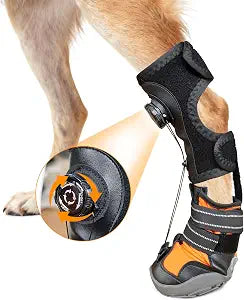 No Knuckling Brace for Dogs - Drop Foot Support with Adjustable Reel, Corrective Outdoor Pet Shoes - Helps Lift Toes for Nerve Conditions, Arthritis & Mobility Issues (S)