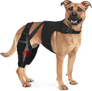 Dog Knee Brace Double Leg Support with Vest - Orthopedic Joint Stabilizer for ACL Tear, Arthritis, Patella Recovery - Adjustable Non-Slip Recovery Brace for Small Middle Large Dogs (X-Small)