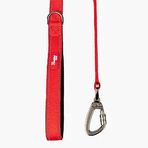 Dog Friendly Co. Close Control Short Trainer Dog Leash | Strain Free & Shock Resistant, Durable Material, 65cm in Length, Heavy Duty Clips & D-Ring (Red, Small)