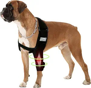 Dog Elbow Protector for Pet Elbow Dysplasia, Shoulder Dislocation - Offers Elbow Support, Dog Recovery Suit Taper Collar Alternative, Helps Wound Healing, Prevents Licking and Biting, L