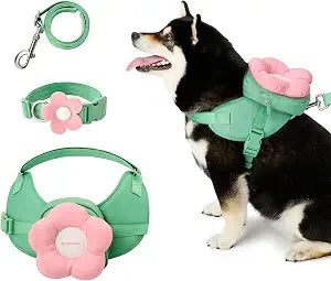 VETRESKA Flora Dog Harness, Leash and Collar Set, No Pull Dog Vest Harness for Walking and Training, Adjustable, Easy Control and Soft Padded Pet Harness and Backpack for Small Medium Large Dogs, XS