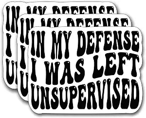 (3Pcs) in My Defense I was Left Unsupervised Sticker, Funny Motivational Sayings Humorous Decal Decorate Books Laptop Phone Water Bottles Kindles Tumbler Waterproof Vinyl Decorate Sticker 3" Inch