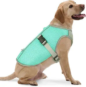 FUAMEY Cooling Vest for Dogs Summer Hiking, Mesh Cooling Apparel for Doggies Walking, Reflective Trim Dog Vest for Hot Weather with Buckle and Adjustable Fit, Green, XXL